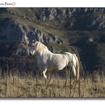 Campo Imperatore - Fascino BiancO