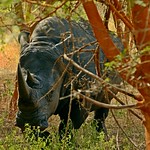 Relax and stay quiet....