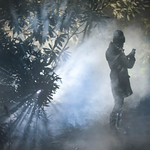 The Girl in the Mist