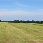 Post Harvest Landscape