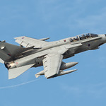 WOLF IN THE BREAK (060)