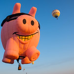 When pigs fly