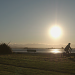 Frequently asked question