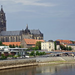 Niedrigwasser an der Elbe - Magdeburg