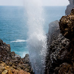 Blowhole