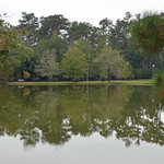 Abbey pond reflected