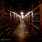 Cellar