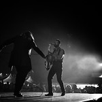 O.I.& B. - Tribute to Zucchero Sugar Fornaciari