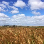 this landscape will never get old... at least not for me ❤️ Salam Ma'al Hijrah 1437🌙 #nature #landscape #futurefarm #westernoz #muharram #natureheals #maythisyearbebetterthanthelast #ineedtoachievesomething