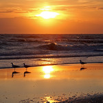 Sunset over Northsea