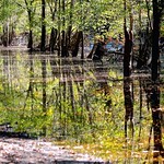 Impressionist Reflections #2