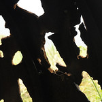 Bullet Holes - Abandoned WW2 Mini Sub