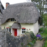 Thatch