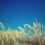 Our Trip, Our Dream.