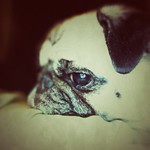 Loungin', Son - 28/52