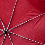 22/7/11 "Water Web" - Day 113