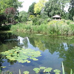 Gooderstone Water Gardens - pond and water lilies