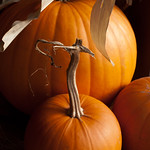 Family Pumpkin Portrait