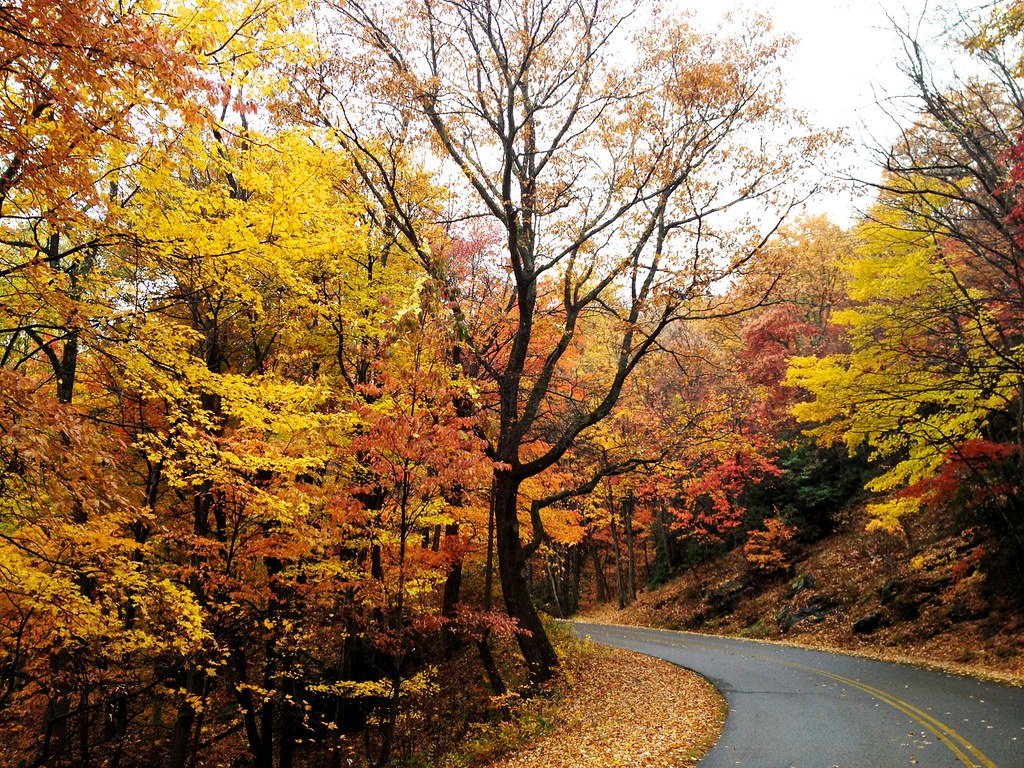 Blue Ridge Parkway Where Is Kyle Now?