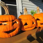 My poor pumpkins :(