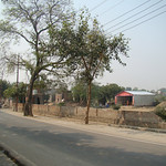 Kirtanananda Burial Site 039