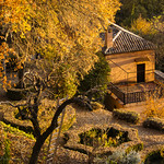 Autumn at the Alhambra