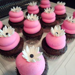 Pink Cupcakes