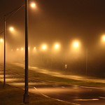 Light Fog (50)