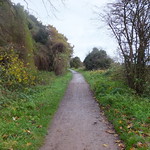 Tracing the MSWJR Line