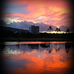 ~~A WaiKiKi ZENscape #1~~