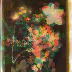 Hommage &agrave; Mr TALBOT