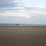 Talacre Beach