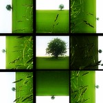 Take a picture is like a puzzle