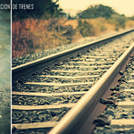 estaci&oacute;n de trenes (explore #394)