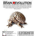 BRAIN EVOLUTION SHOW