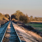 Tracks through the heartland 1