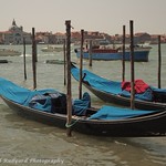 Moored Gondolas, Venice