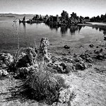 Mono Lake bank with tufa formations