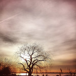 this is how an empty nest feels e3