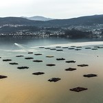 R&iacute;a de Vigo desde Rande