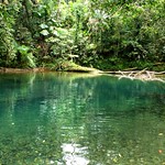 A nice spot for a swim