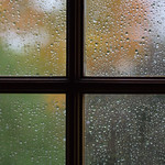 pluie d'automne &sim; 293/365