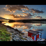 Goodmorning Sunshine