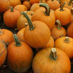 Pumpkins