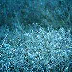 Never enough...reaching higher at 11642 ft (3549 m)