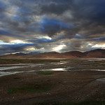 The Wetland of Tsomoriri