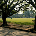 Parque Ibirapuera