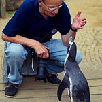 The animal spiritmaster