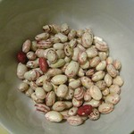 Cranberry beans