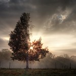 Three Quarters (HDR)